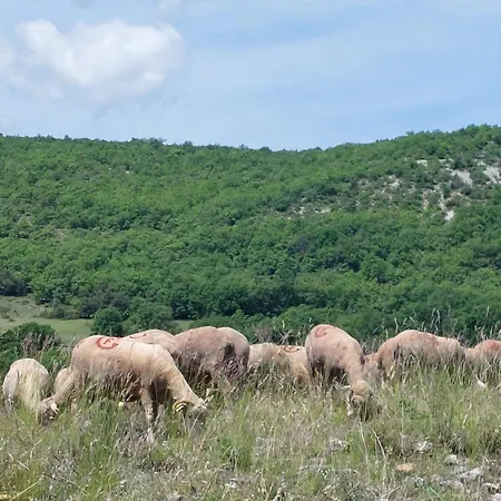 La Maison De Marie-jeanne - Le Rocher D'ongles Отель типа 
