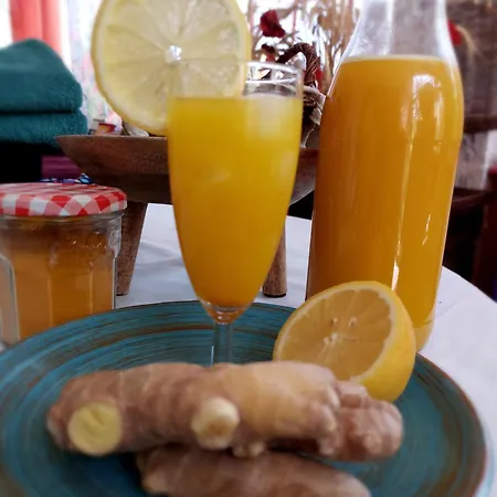 La Maison De Marie-jeanne - Le Rocher D'ongles Отель типа 