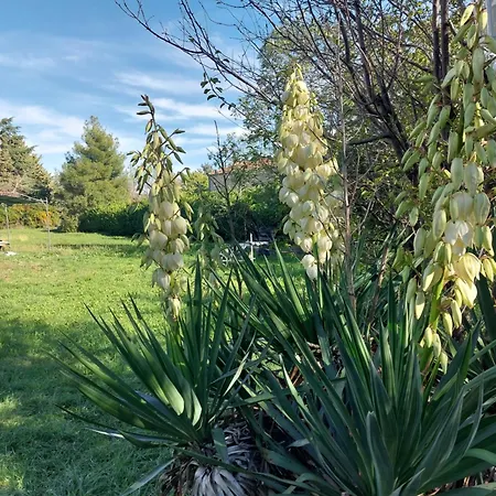 La Maison De Marie-jeanne - Le Rocher D'ongles Ongles