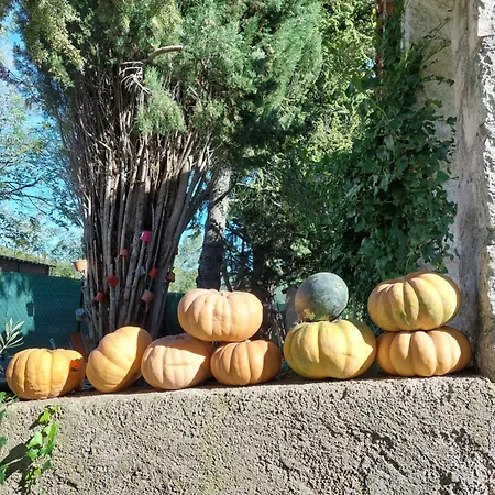 La Maison De Marie-jeanne - Le Rocher D'ongles