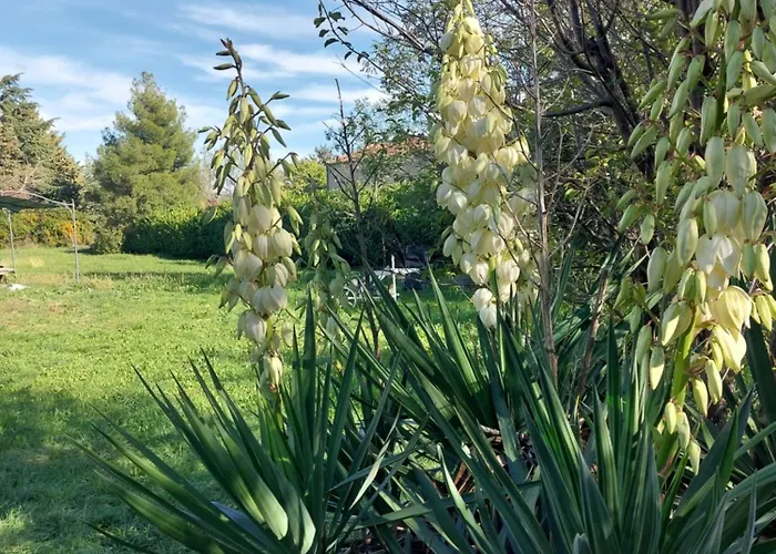 La Maison De Marie-jeanne - Le Rocher D'ongles Ongles