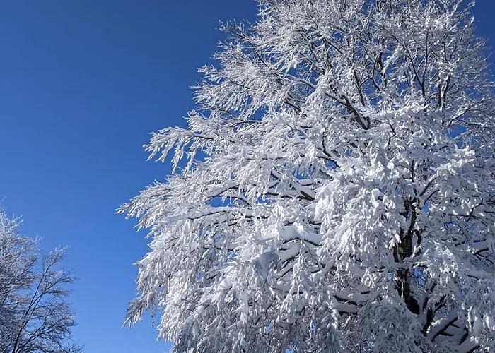 La Maison De Marie-jeanne - Le Rocher D'ongles